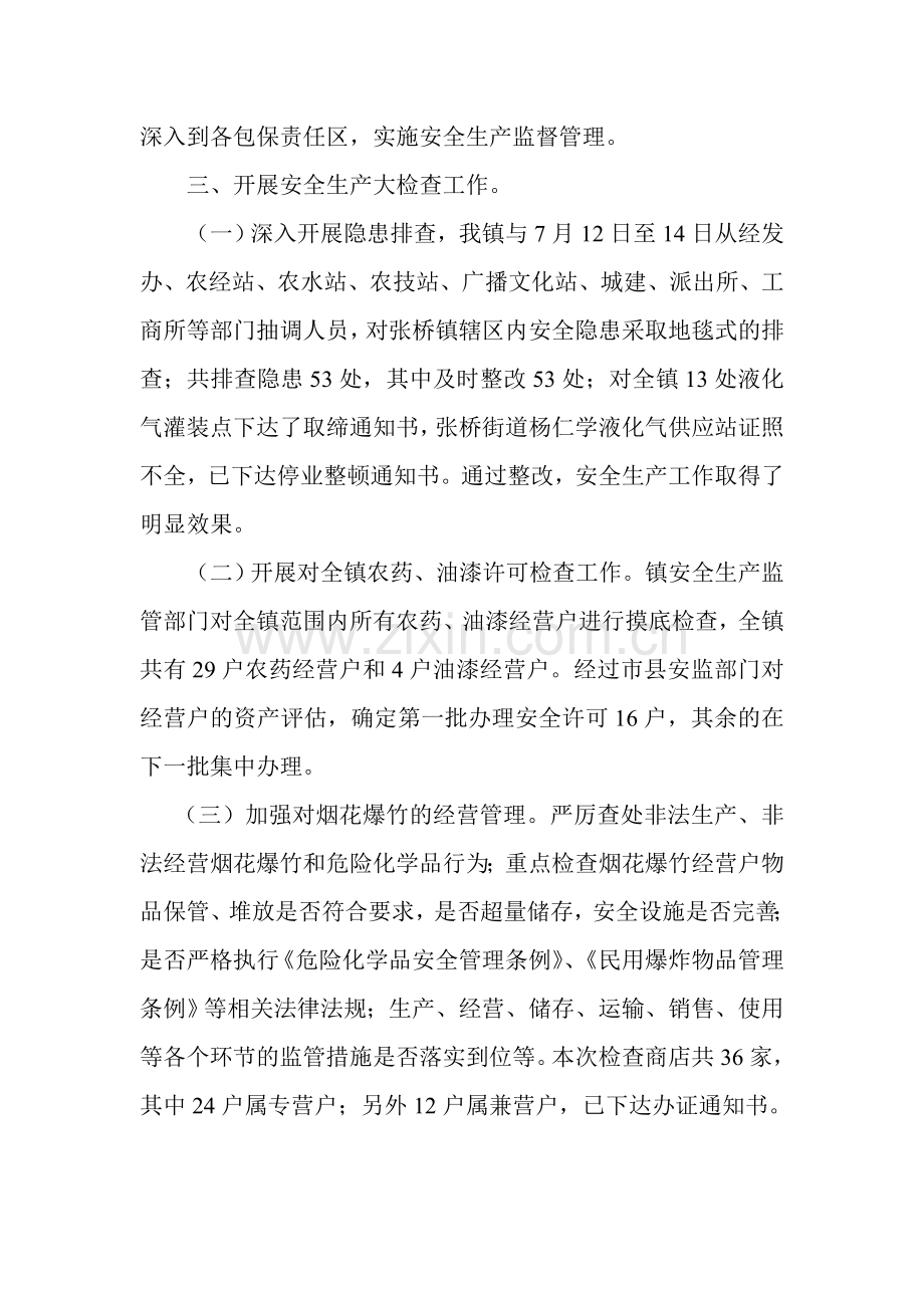 张桥镇安全生产大检查情况总结.doc_第2页