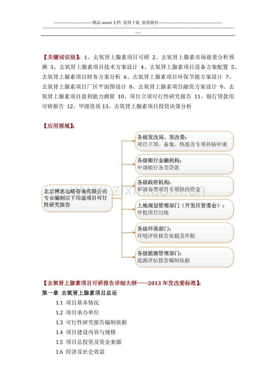 如何设计去氧肾上腺素项目可行性研究报告(技术工艺-设备选型-财务概算-厂区规划)投资方案.docx_第2页