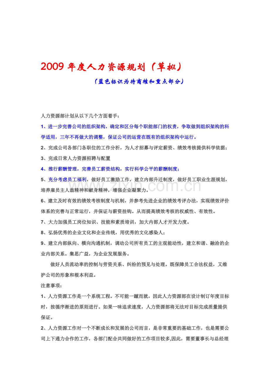 2009年人力资源规划(草拟).doc_第1页