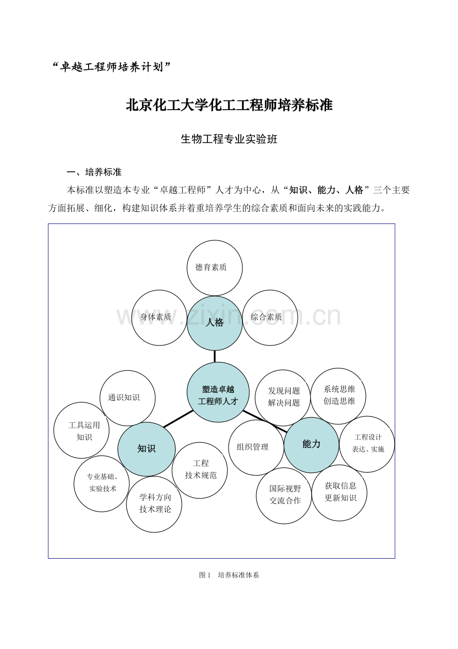 北京化工大学生物工程专业卓越工程师培养方案.doc_第3页