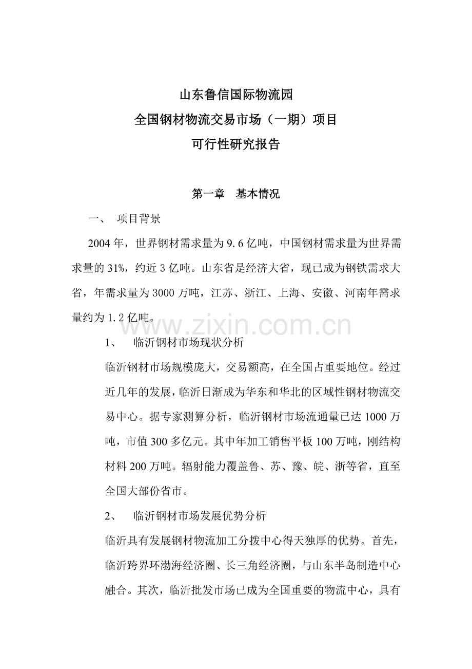 山东鲁信可行性研究报告.doc_第1页