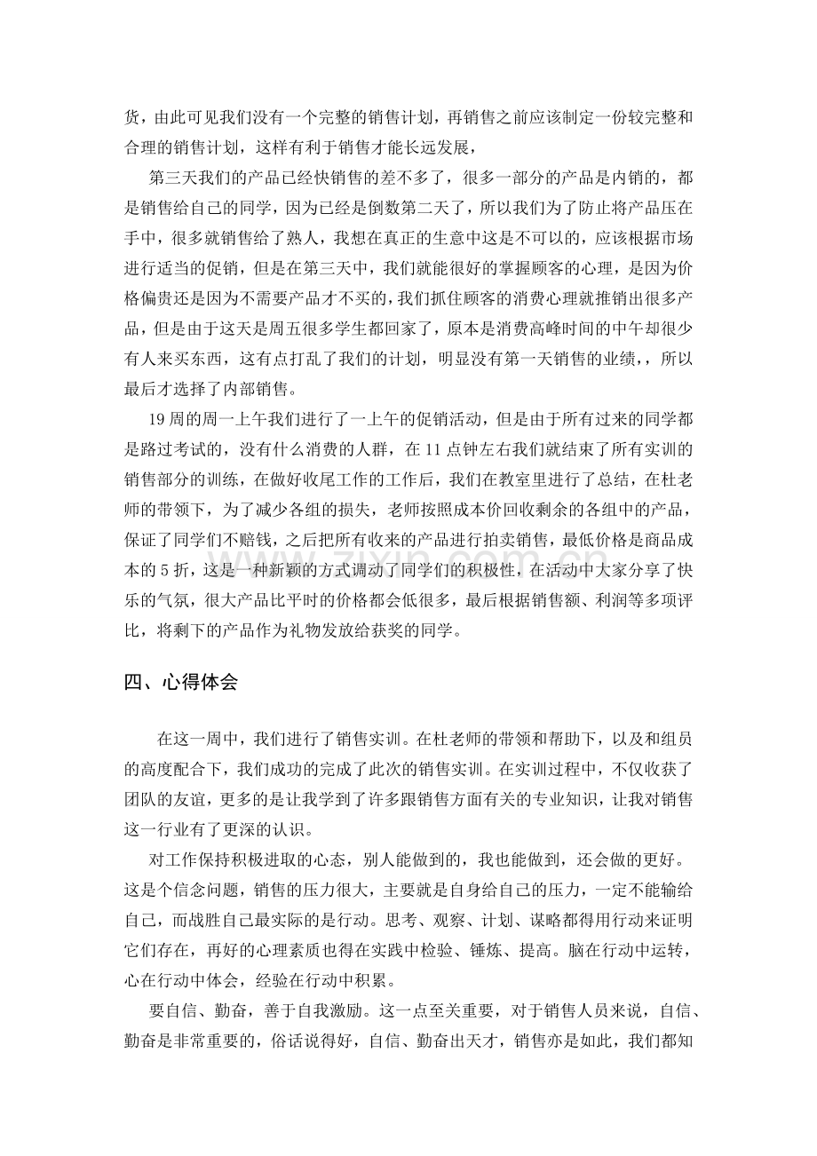 销售实训个人总结.doc_第3页