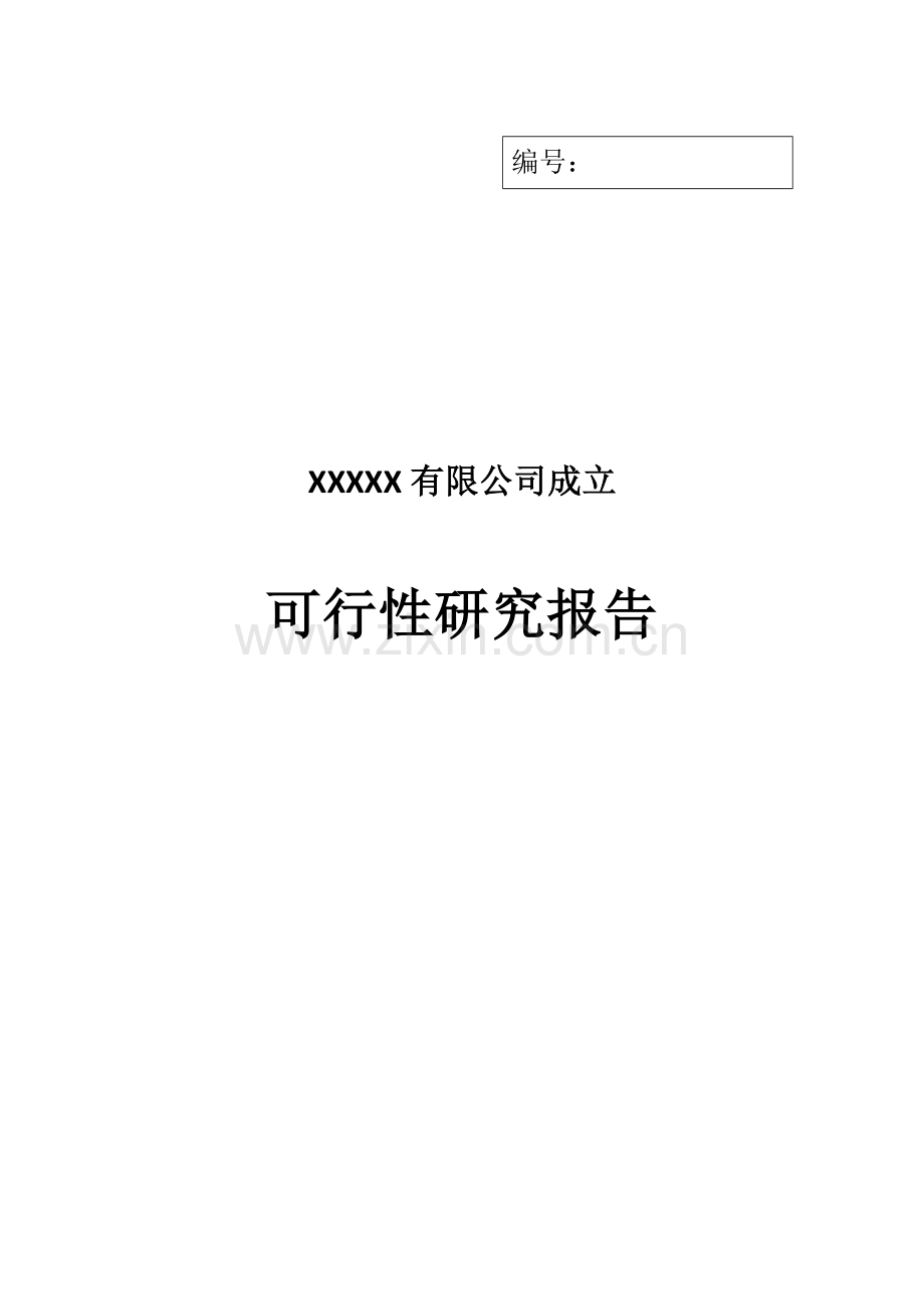 公司成立通可行性报告.docx_第1页