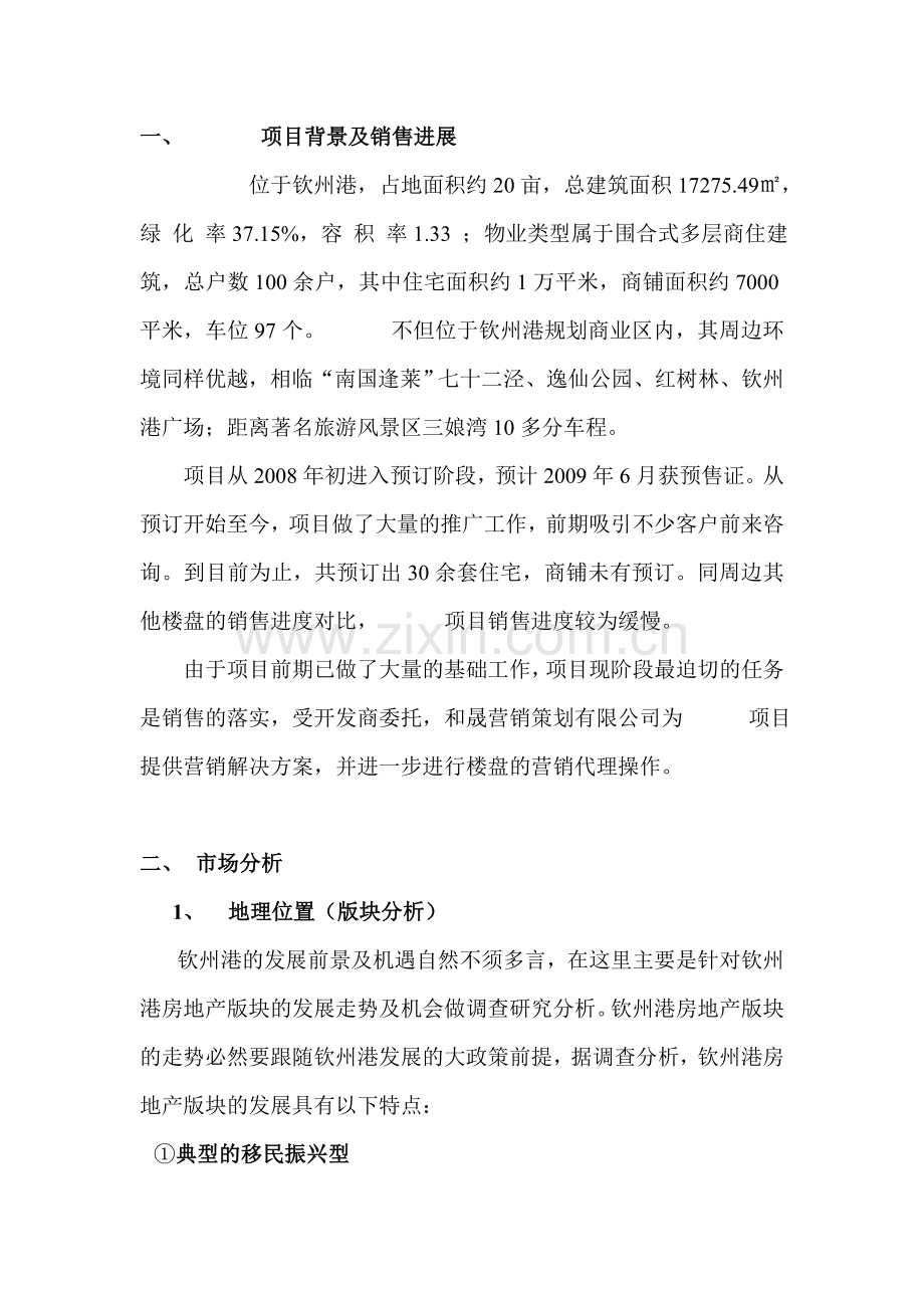 广西某房地产项目代理服务提案.doc_第2页