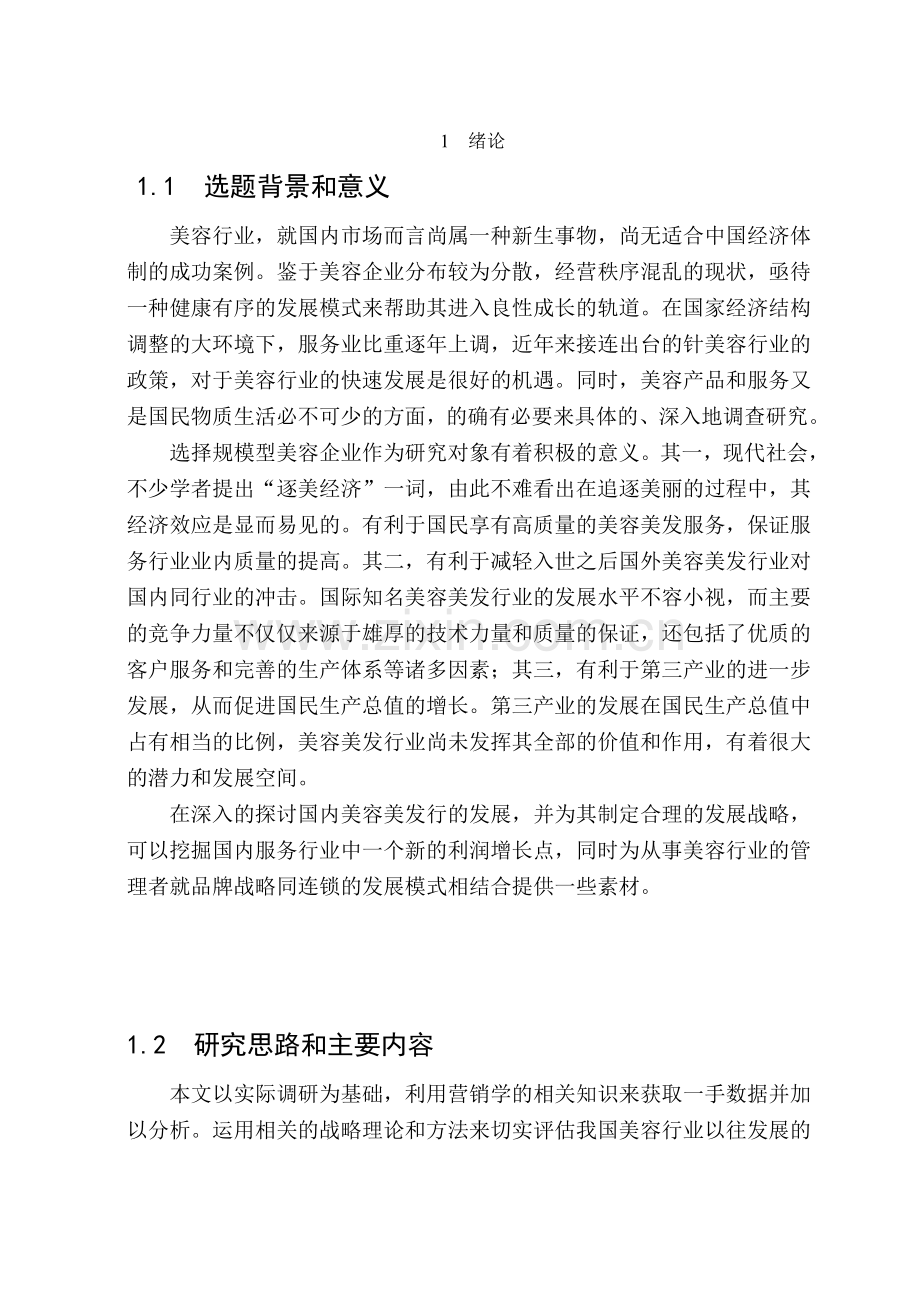 我国美容行业企业发展战略研究.doc_第2页