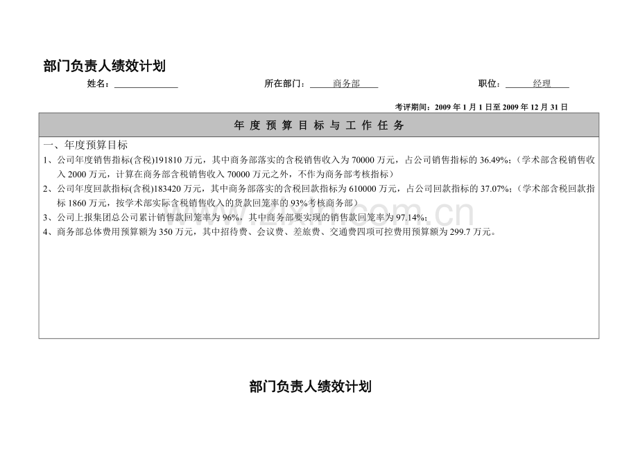 国药集团药业股份有限公司业务执行层绩效计划书.doc_第2页