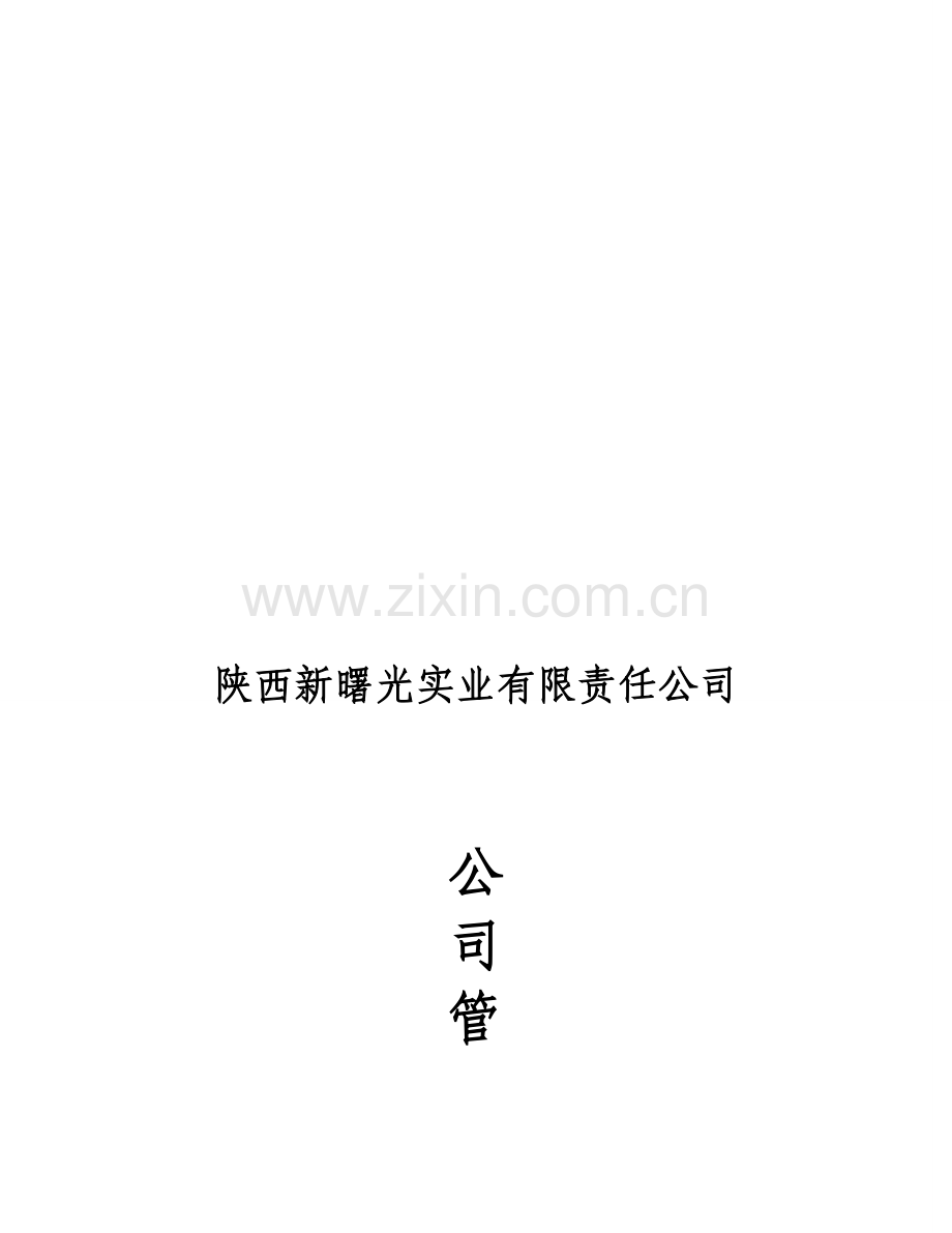 公司管理规章制度(拟).doc_第2页