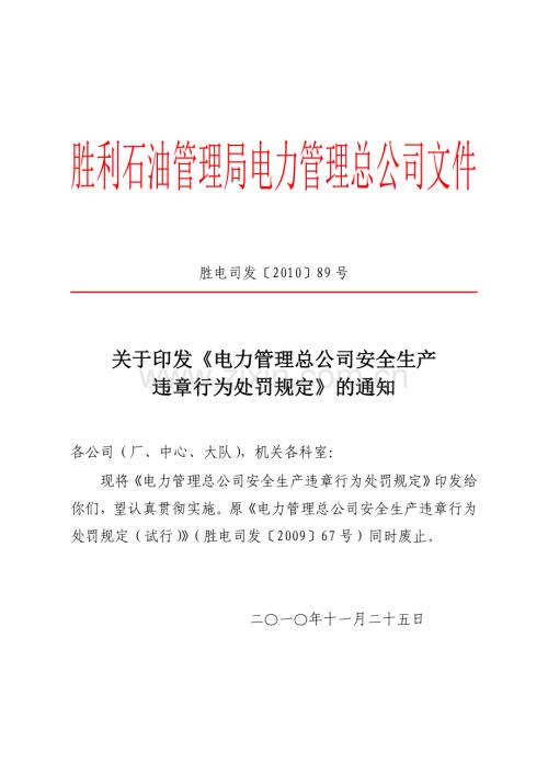 电力管理总公司安全生产违章行为处罚规定.doc