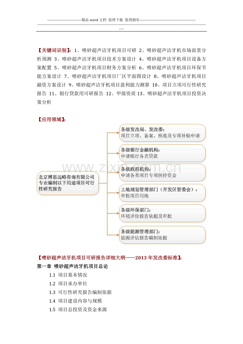 喷砂超声洁牙机项目可行性研究报告评审方案设计(2013年发改委立项详细标准-甲级案例范文).docx_第2页