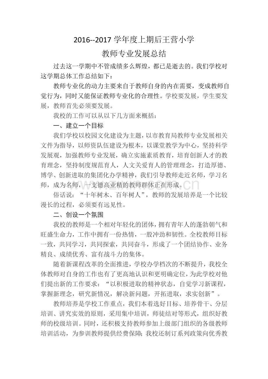 教师专业化发展总结.doc_第1页