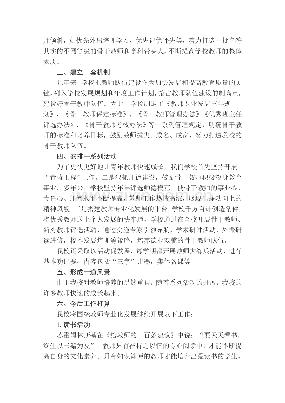 教师专业化发展总结.doc_第2页