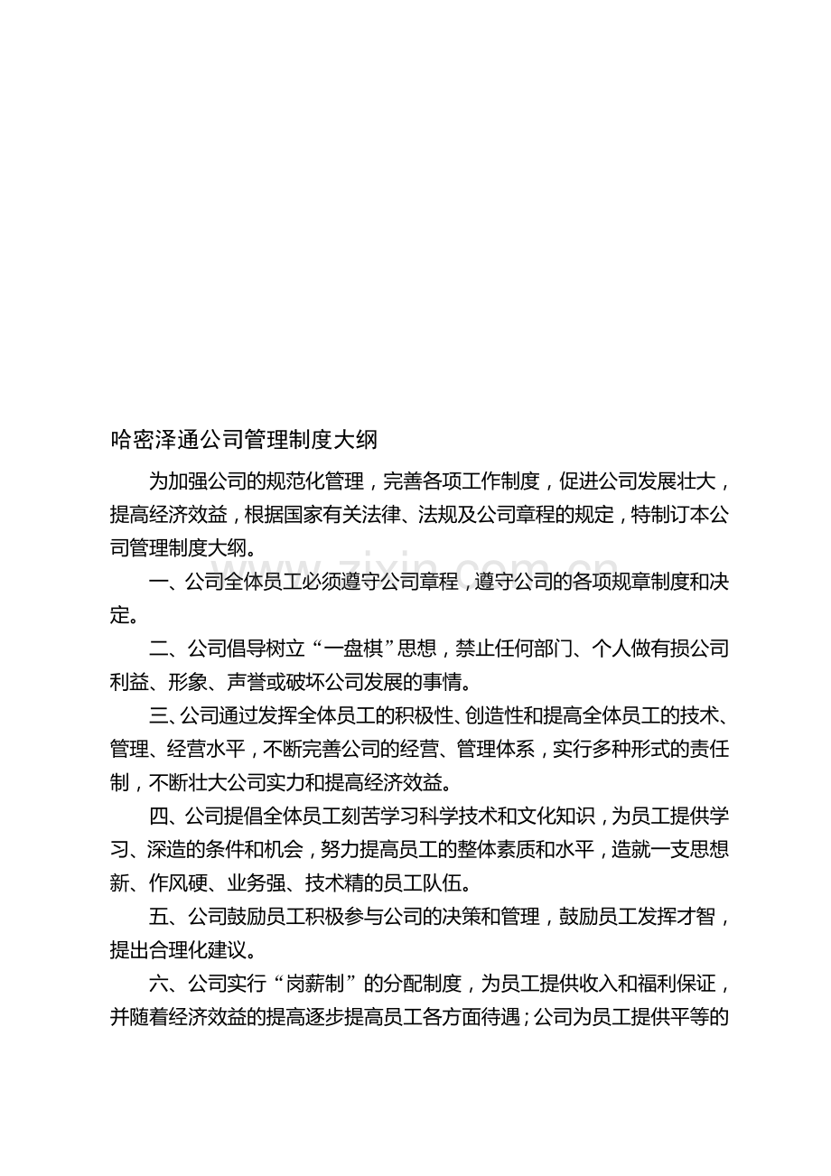 哈密泽通公司管理制度大纲.doc_第1页