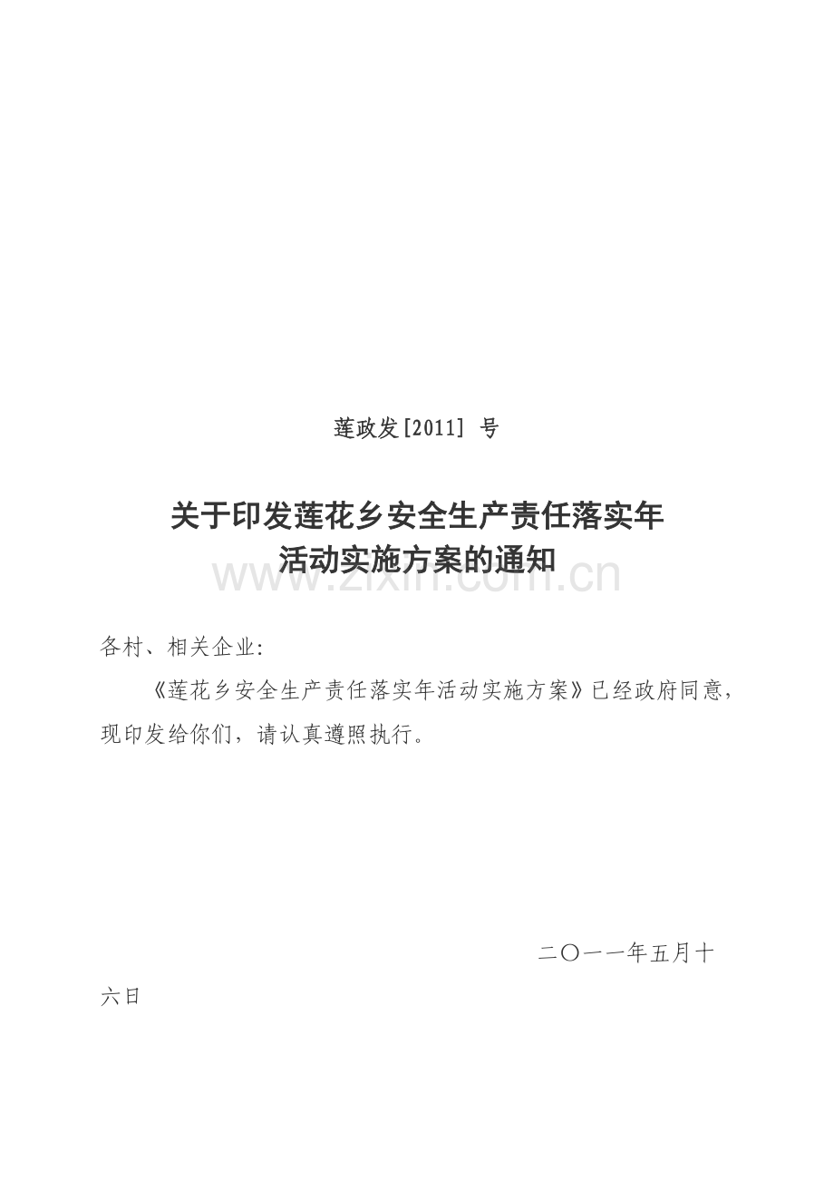 安全生产责任落实年活动实施方案.doc_第1页