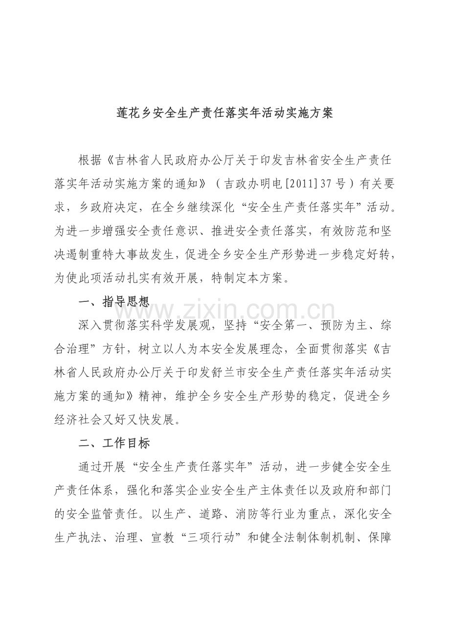 安全生产责任落实年活动实施方案.doc_第2页