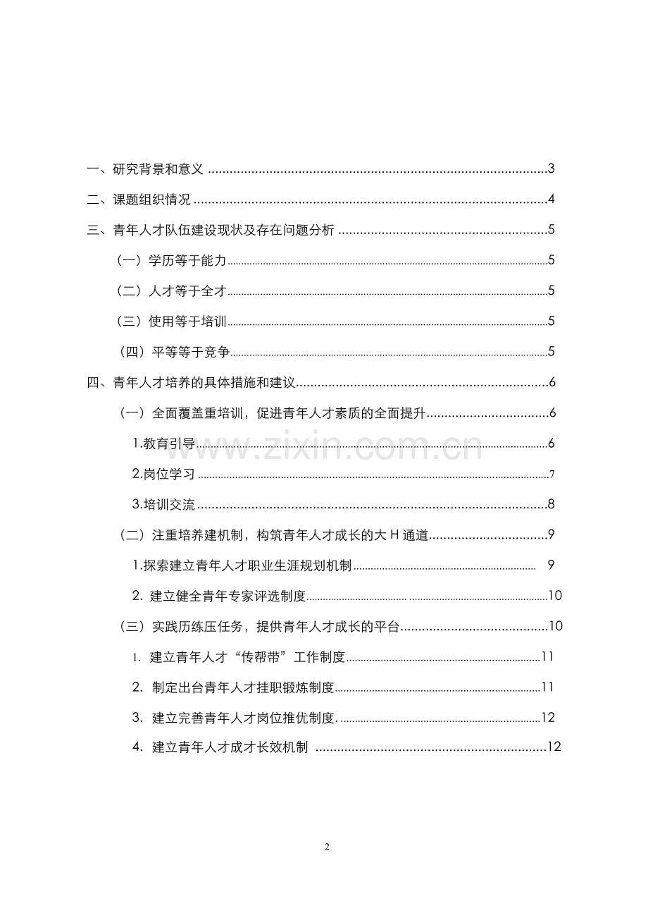 公司转型期青年人才培养的探索与分析.doc_第2页