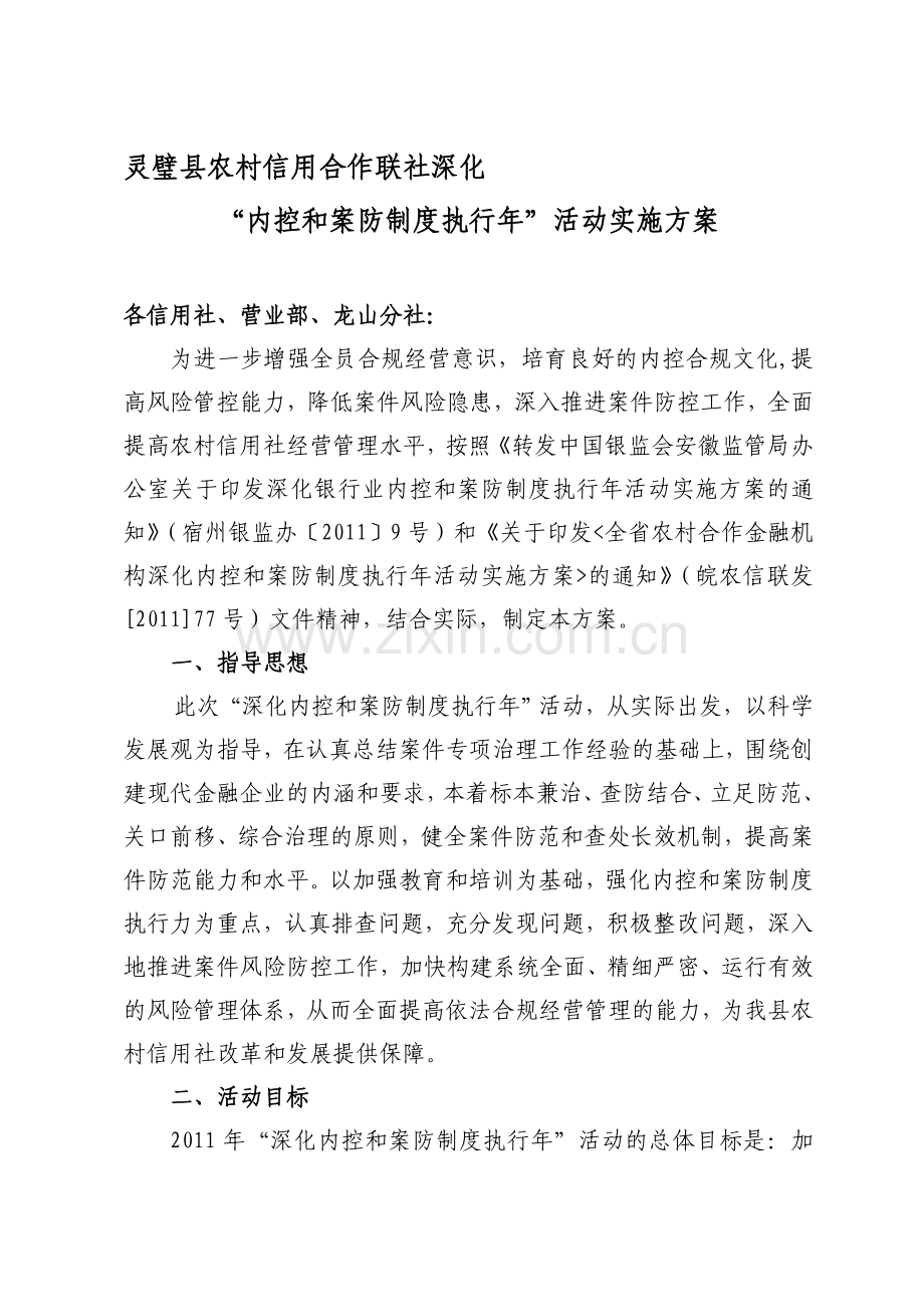 内控和案防制度执行年活动实施方案.doc_第1页