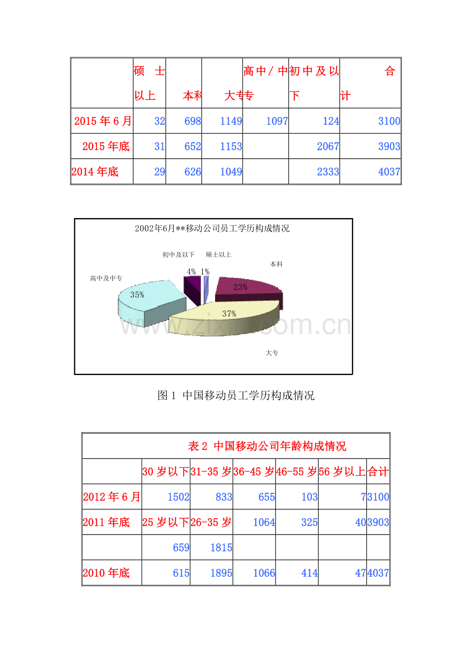 某移动公司的人力资源现状与分析.doc_第2页