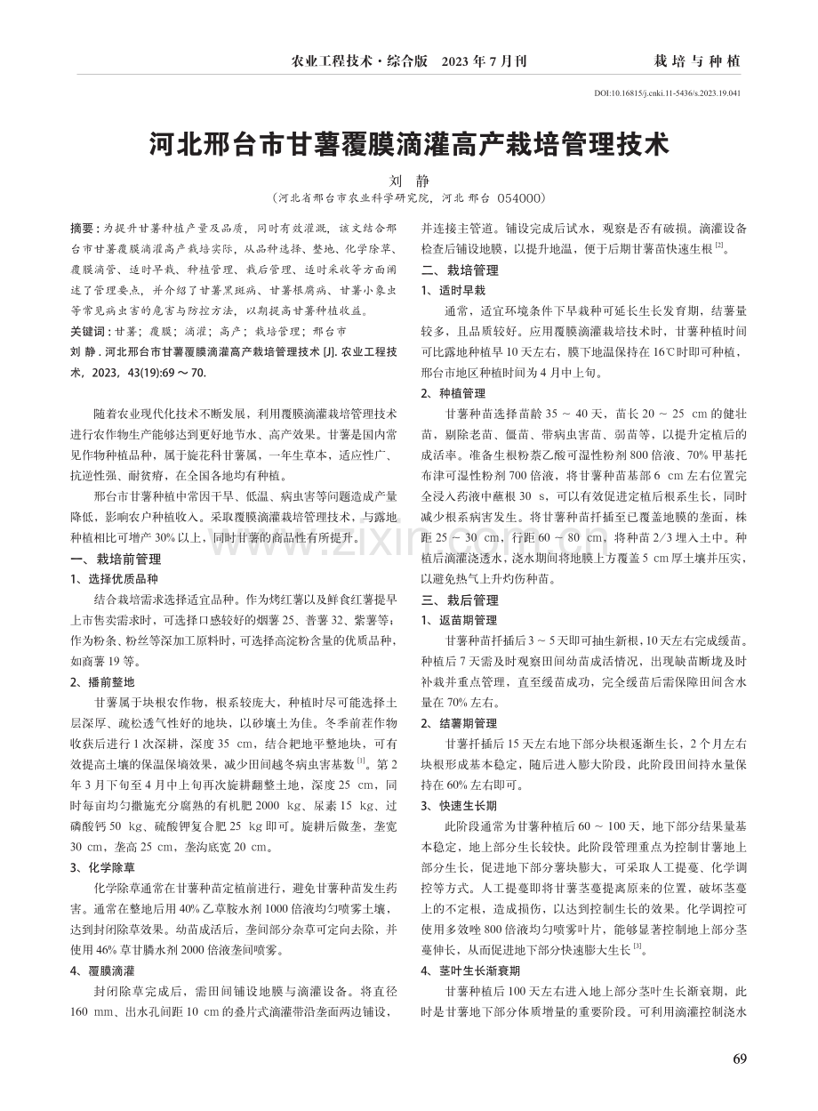 河北邢台市甘薯覆膜滴灌高产栽培管理技术.pdf_第1页