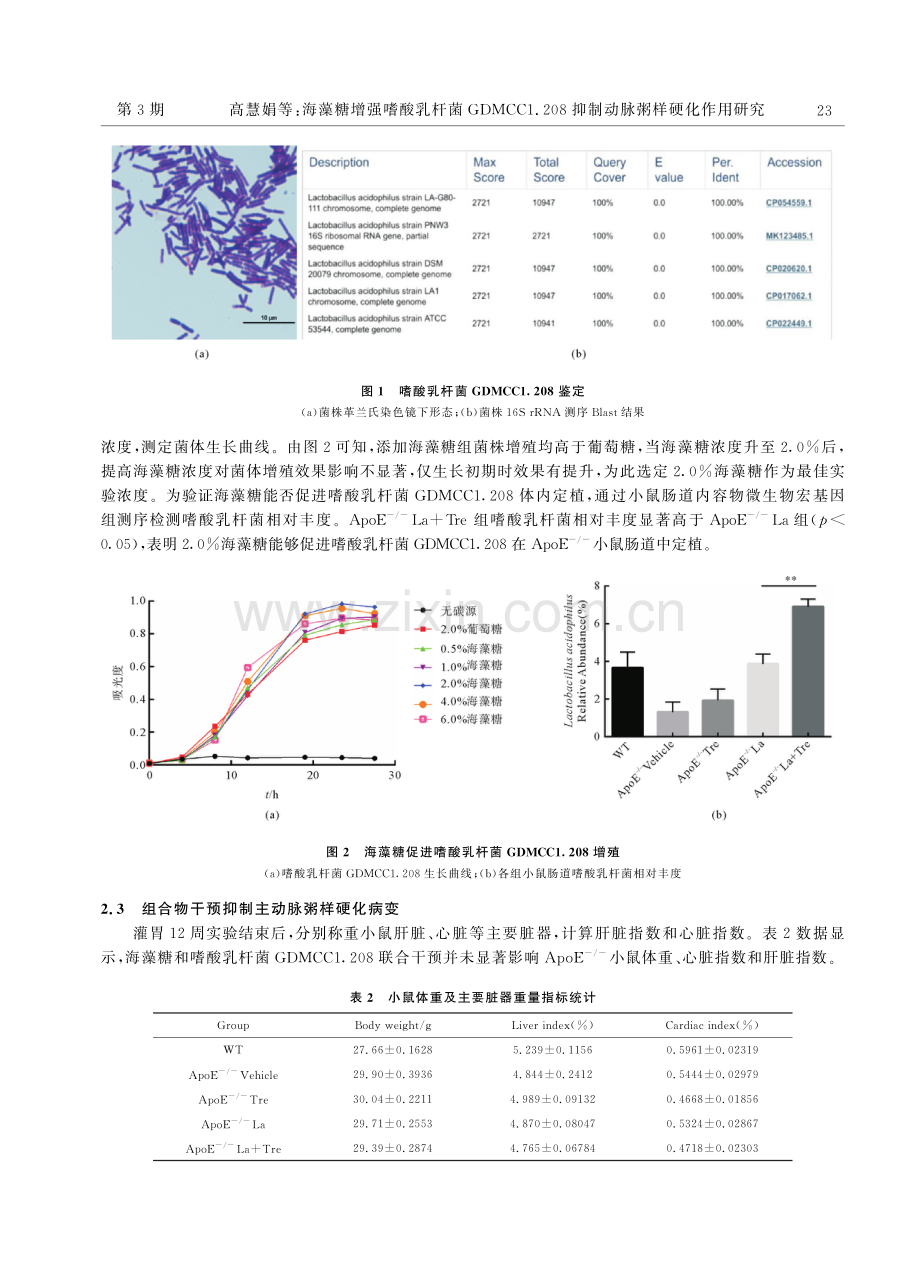 海藻糖增强嗜酸乳杆菌GDMCC1.208抑制动脉粥样硬化作用研究.pdf_第3页