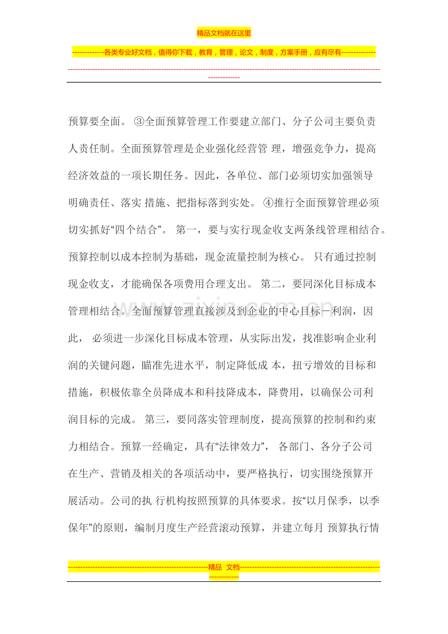 某公司的全面预算管理实施方案.docx_第2页