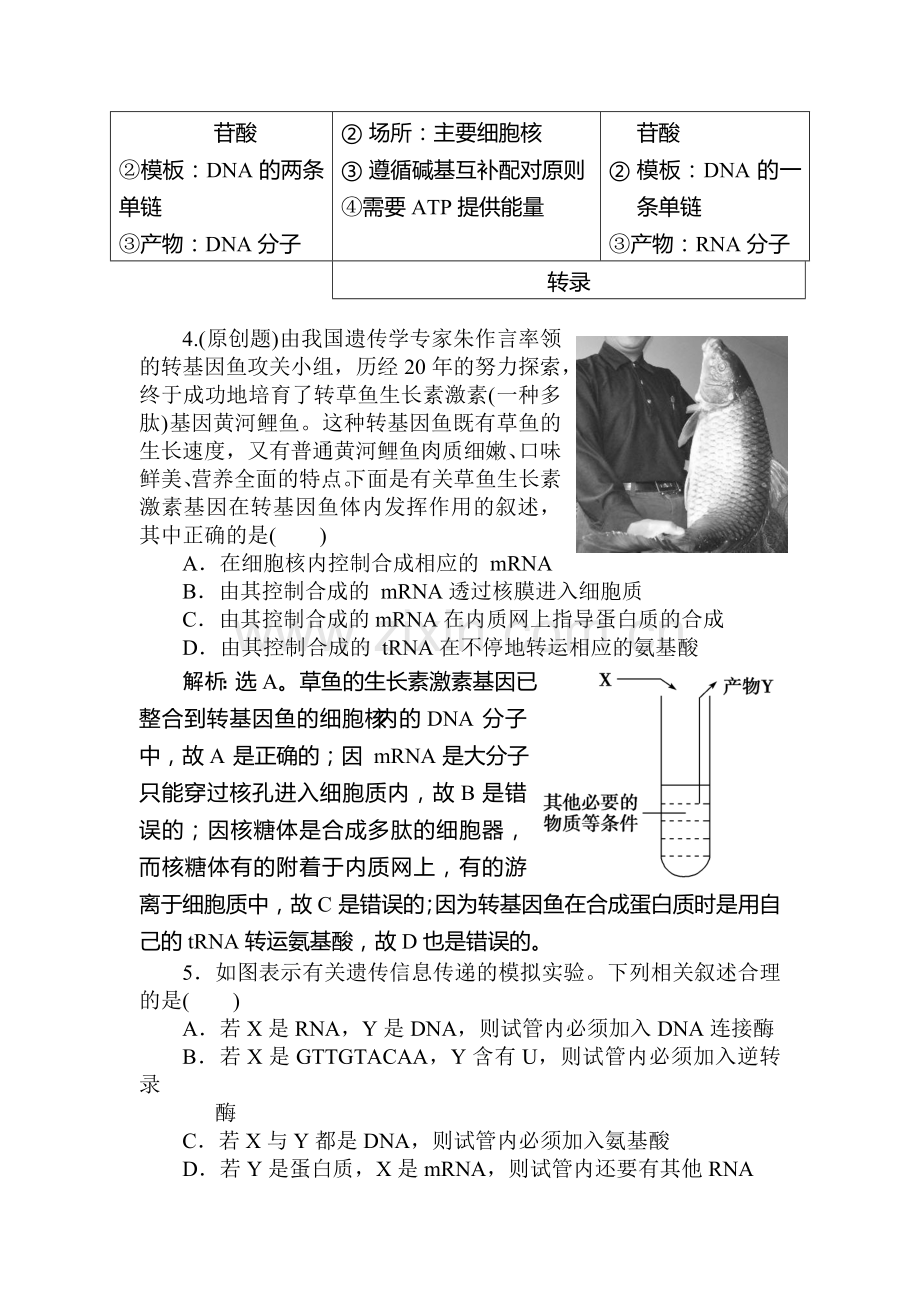 高三生物第一轮知识点优化复习题22.doc_第2页