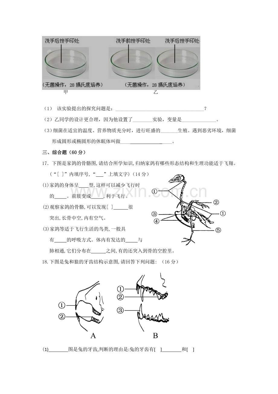 辽宁省大石桥市2016-2017学年八年级生物上册期末模拟考试题.doc_第3页