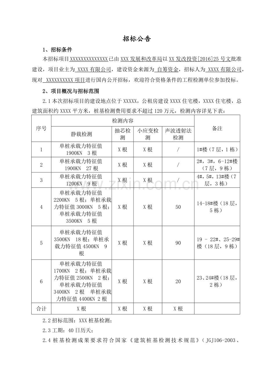 桩基检测招标文件.doc_第3页