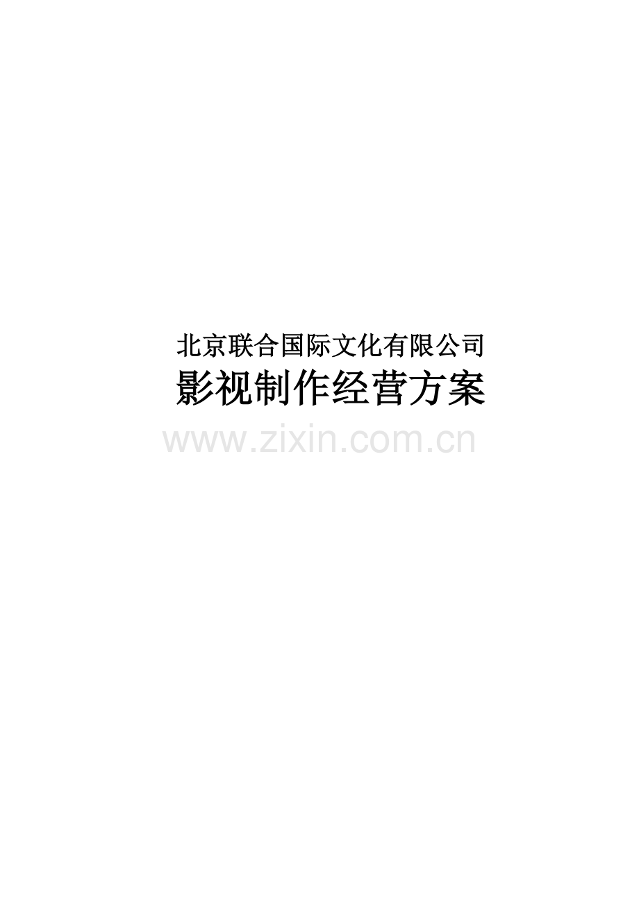 知名影视公司年度经营计划方案.doc_第1页