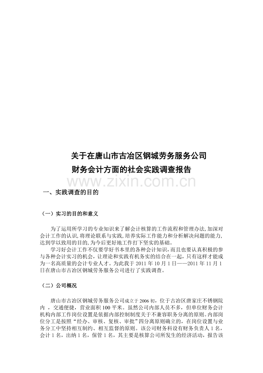 会计专业社会调查报告(模版).doc_第2页