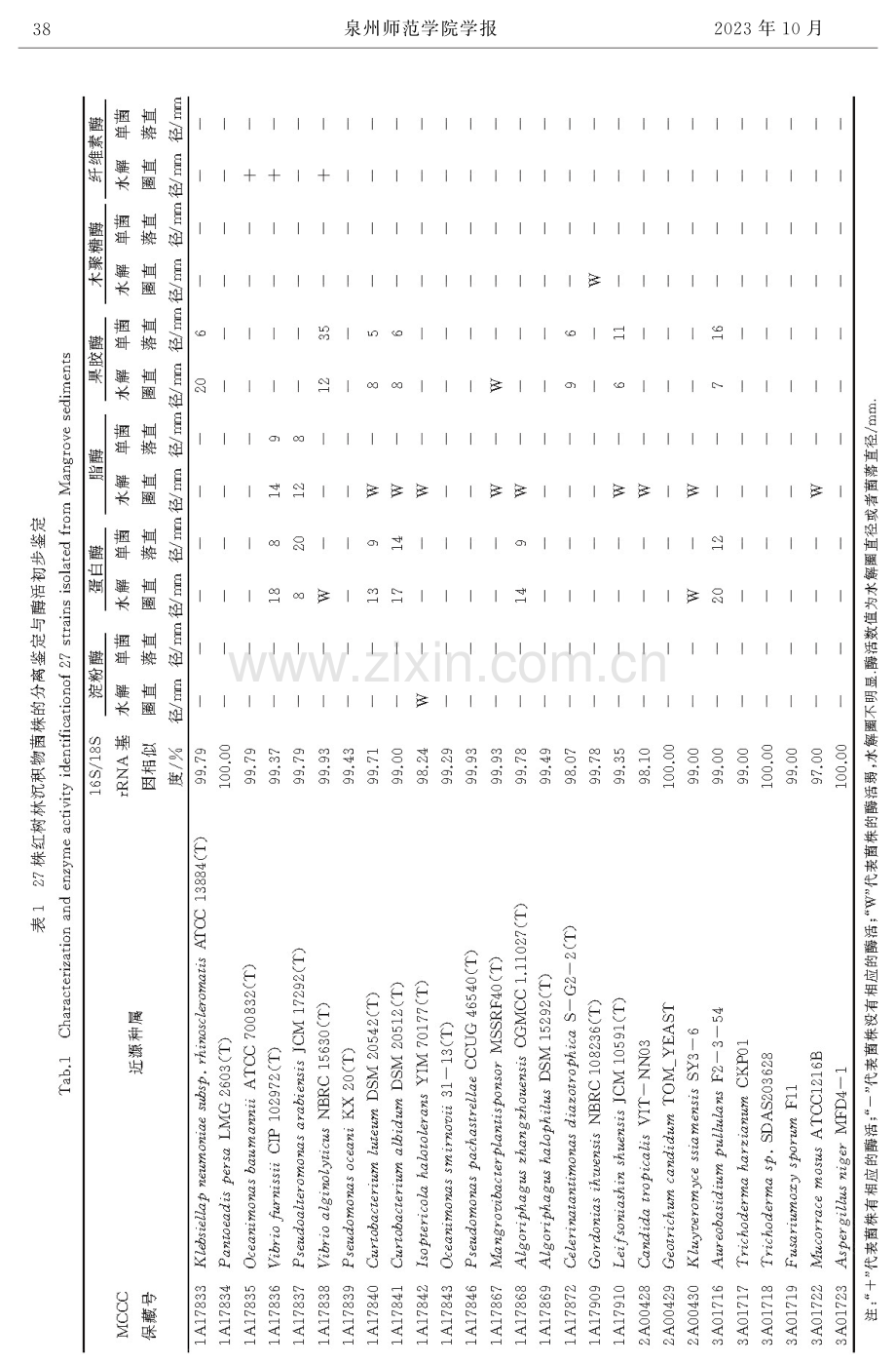 红树林沉积物产酶微生物的分离和鉴定.pdf_第3页