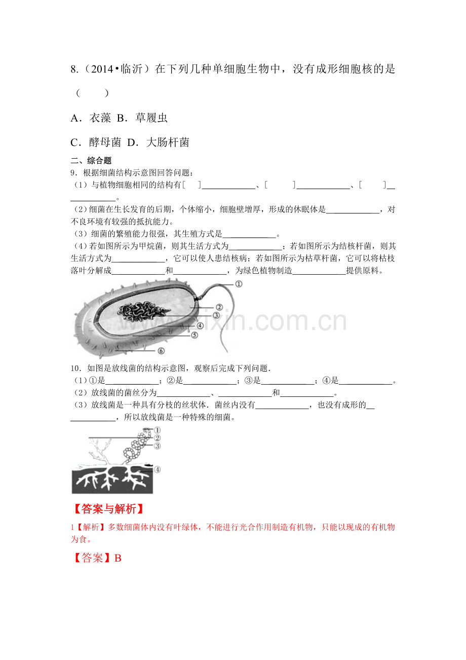 土壤里的微生物课时练习2.doc_第2页