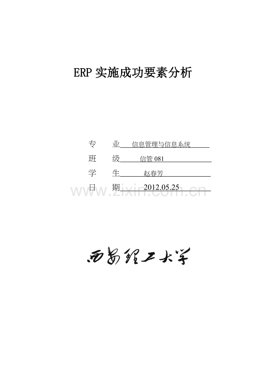 ERP实施成功要素分析.doc_第2页