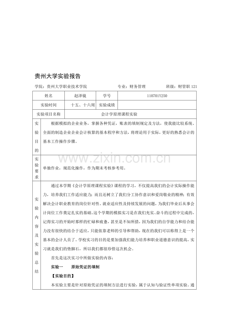 会计手工记账实训总结报告.doc_第1页