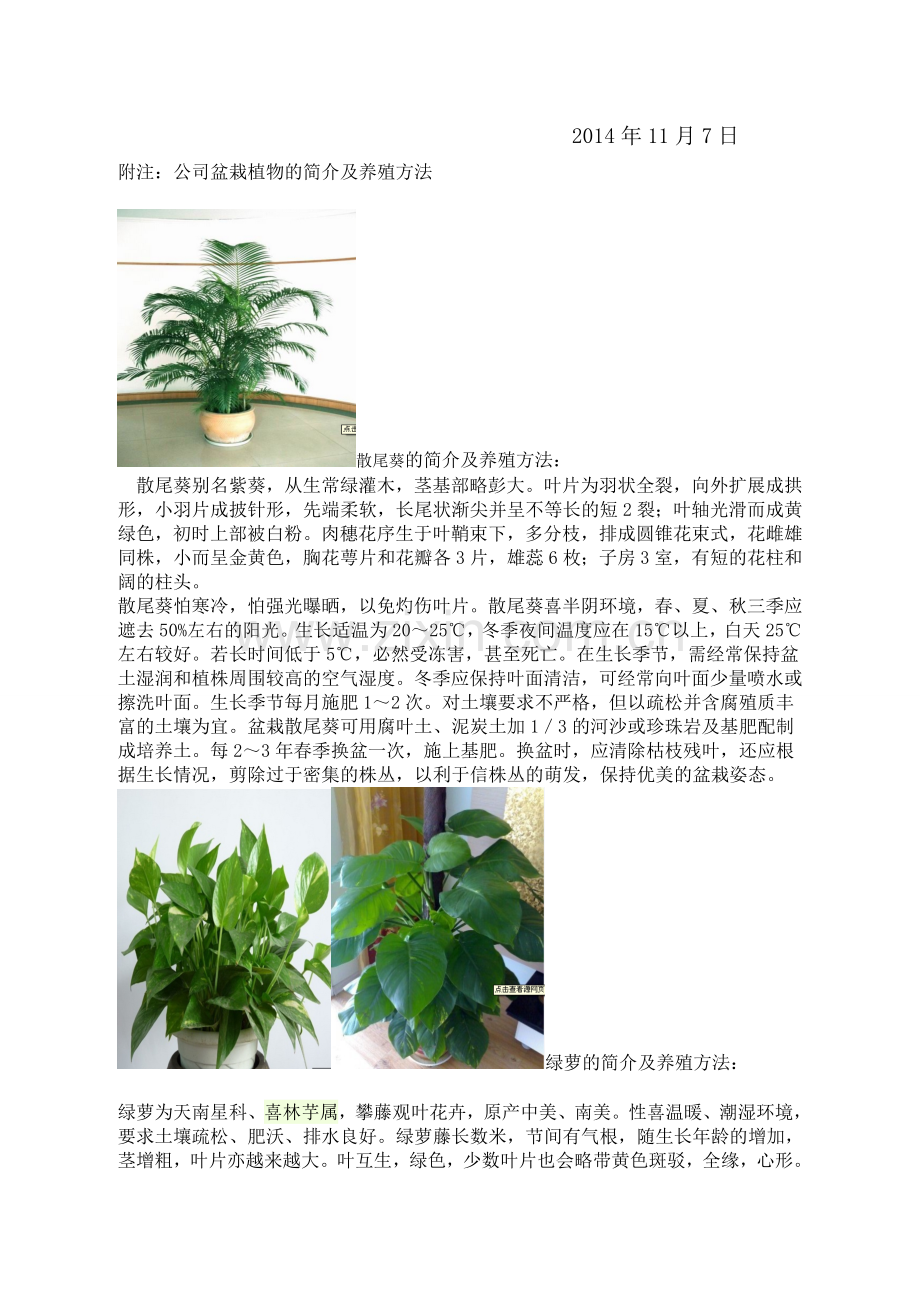 办公室盆栽管理制度.doc_第2页