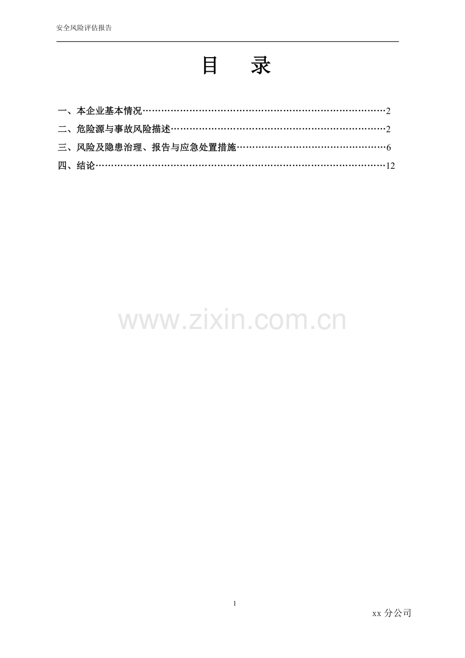 XX公司安全风险评估报告.doc_第2页