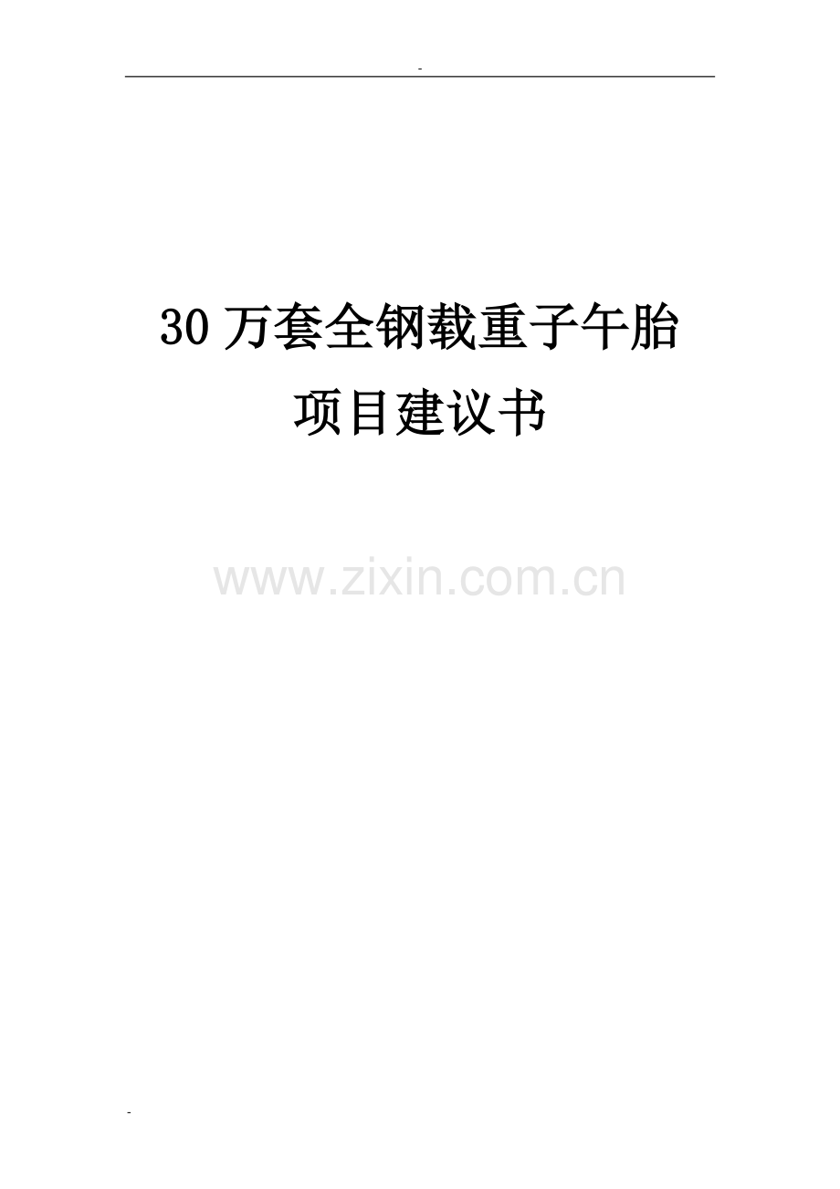 年产30万套全钢载重子午胎项目可行性研究报告.doc_第1页