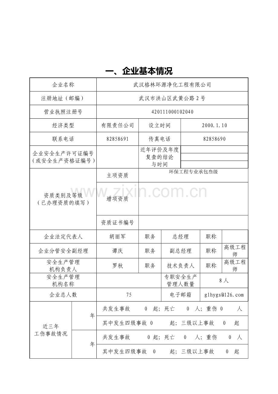 安全生产评价申请表格1.doc_第3页