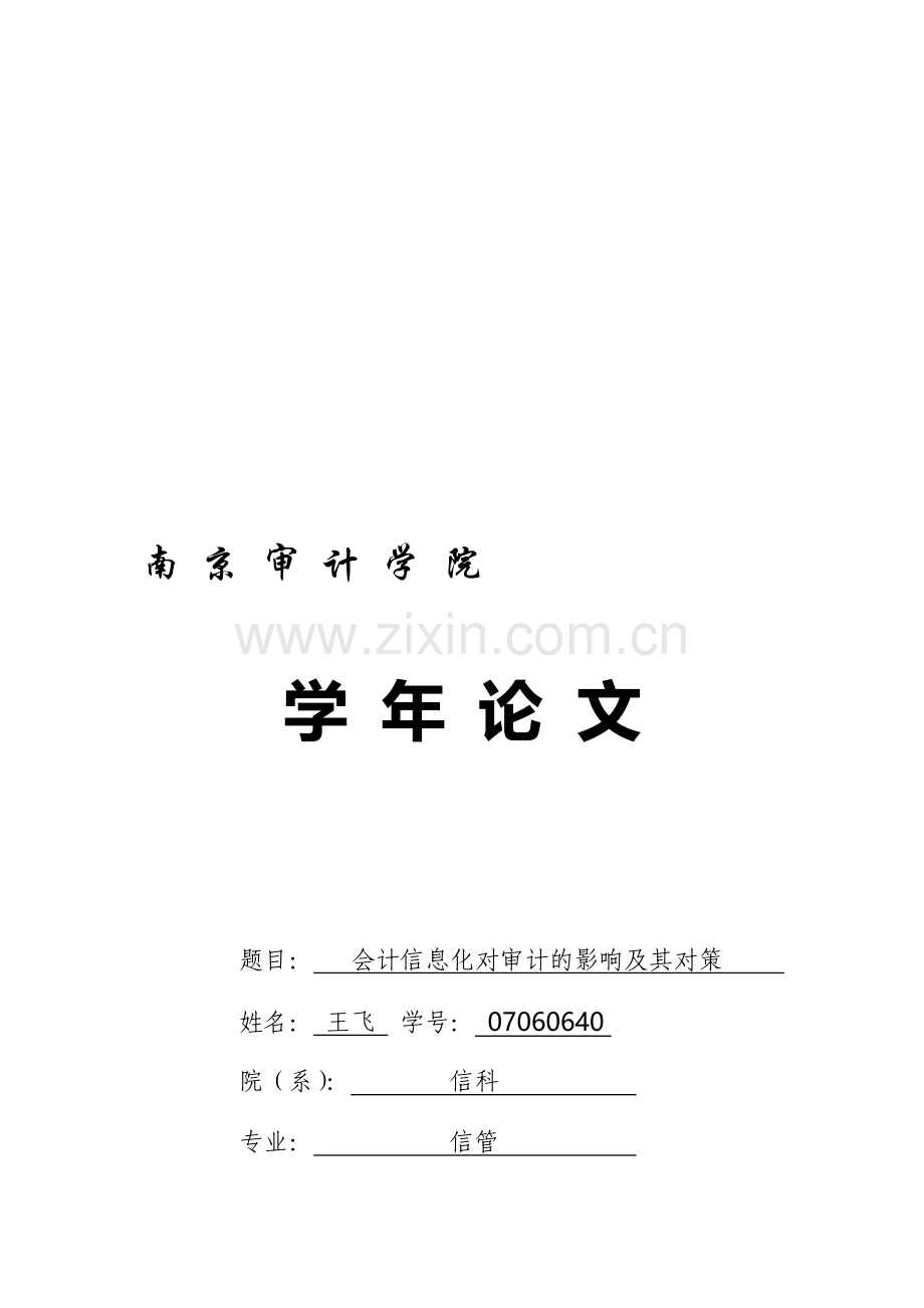 会计信息化对审计的影响及其对策.doc_第1页