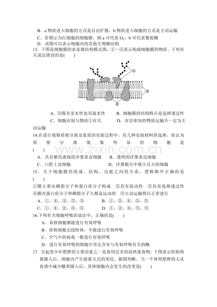 河北省故城县2015-2016学年高一生物上册12月月考试题.doc_第3页