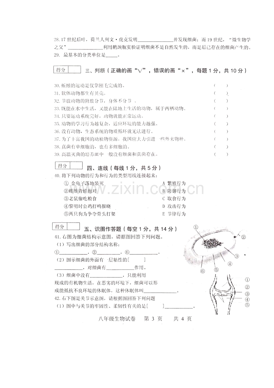 2017-2018学年八年级生物上学期期末考试题13.doc_第3页