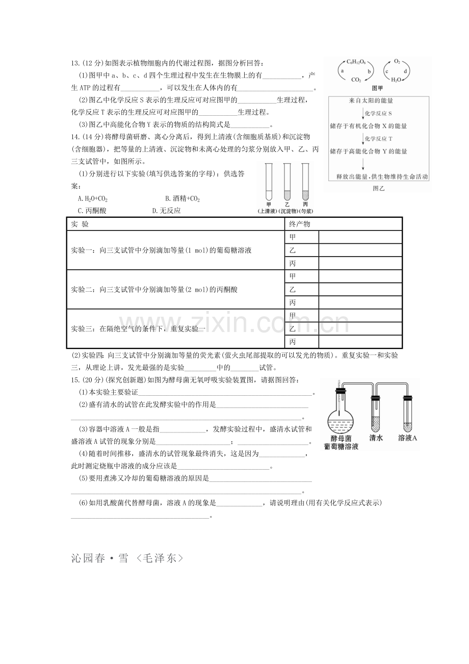 高一生物上册基础巩固综合测试题6.doc_第2页