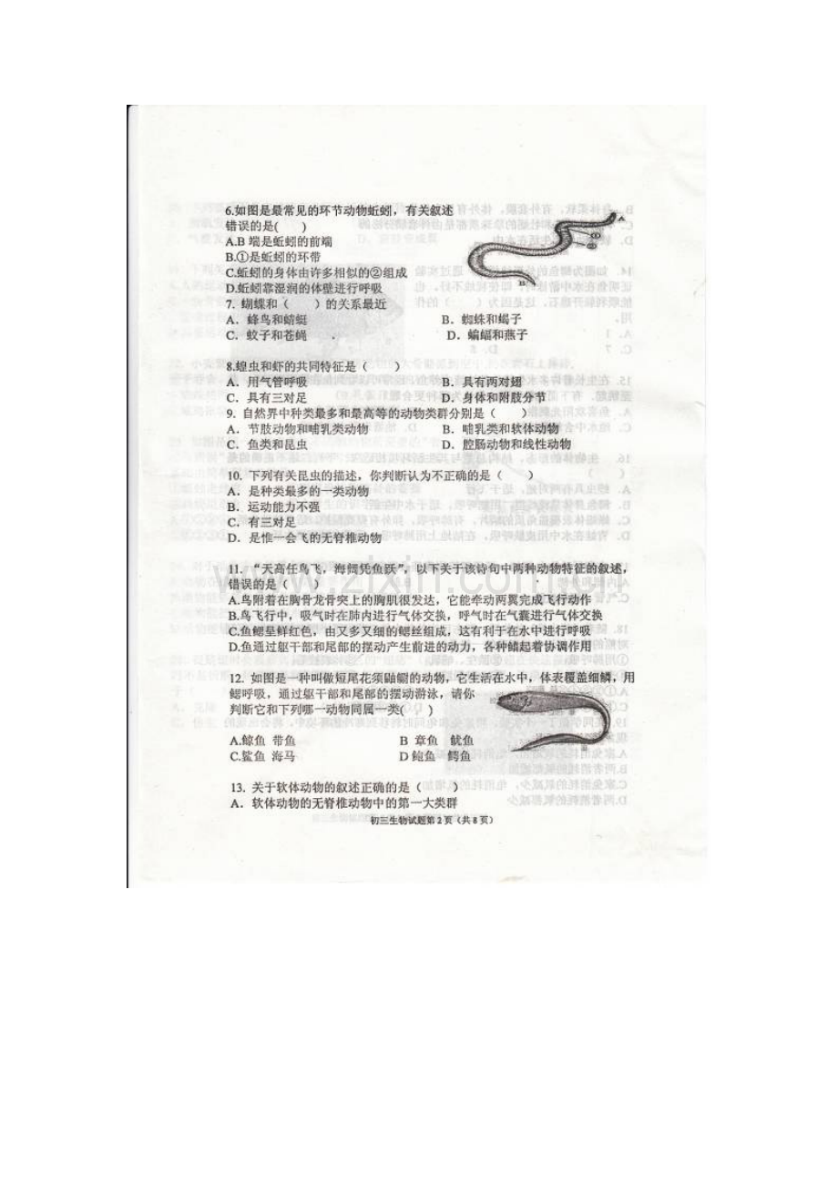 2015-2016学年八年级生物上册期中调研测试6.doc_第2页