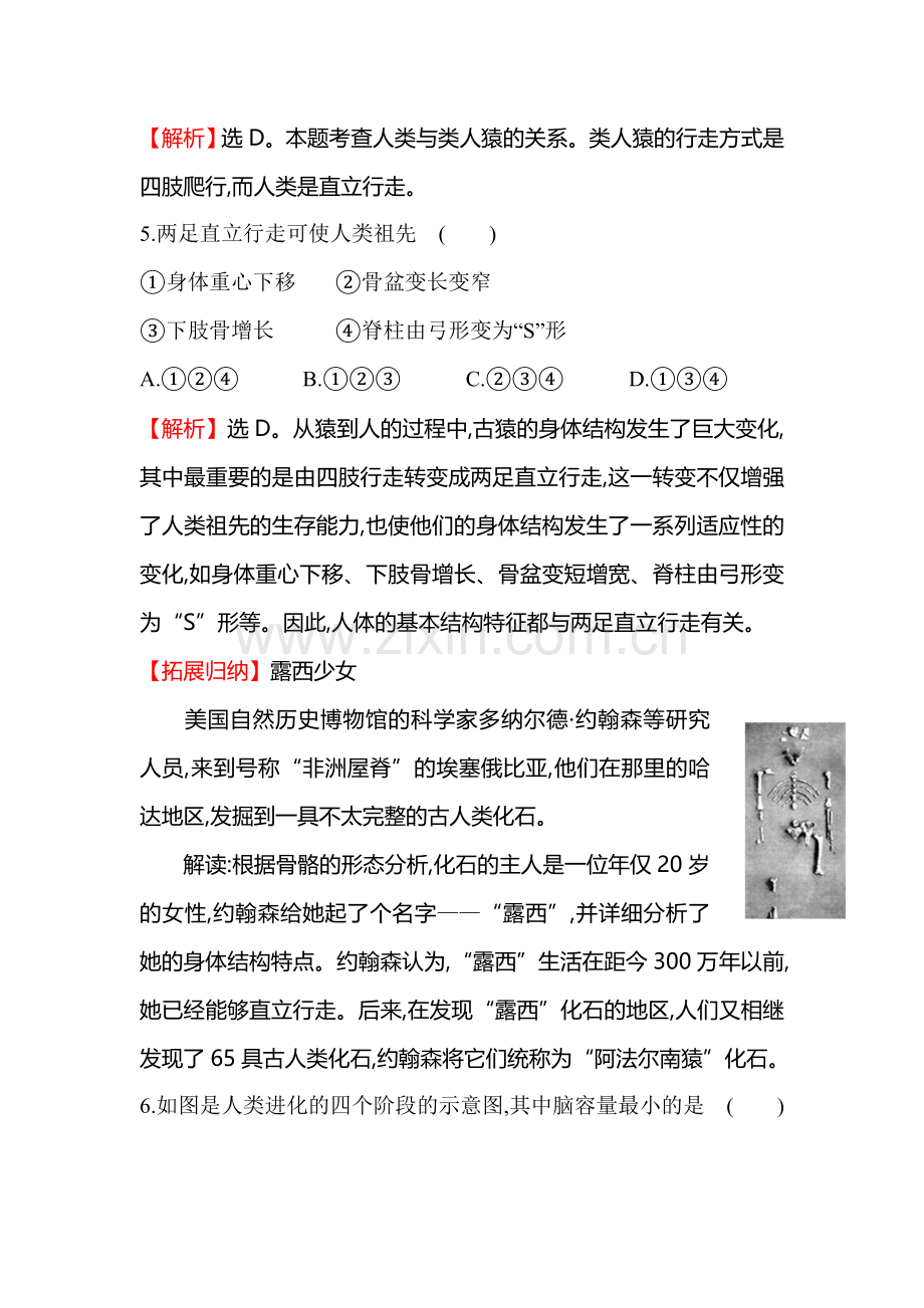 人类的起源和进化同步训练题.doc_第2页