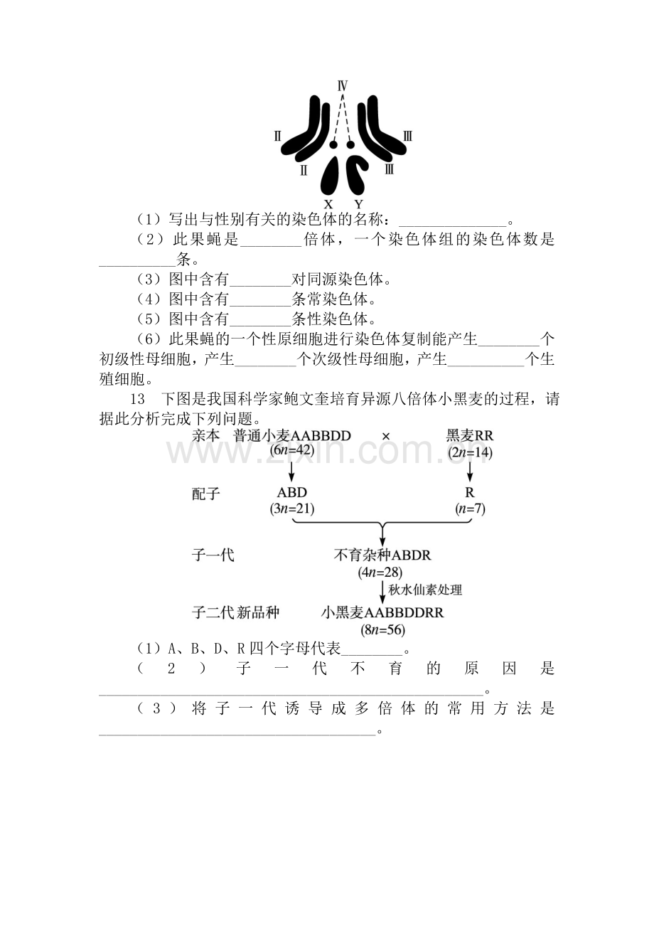 2017-2018学年高一生物下册课后训练题22.doc_第3页