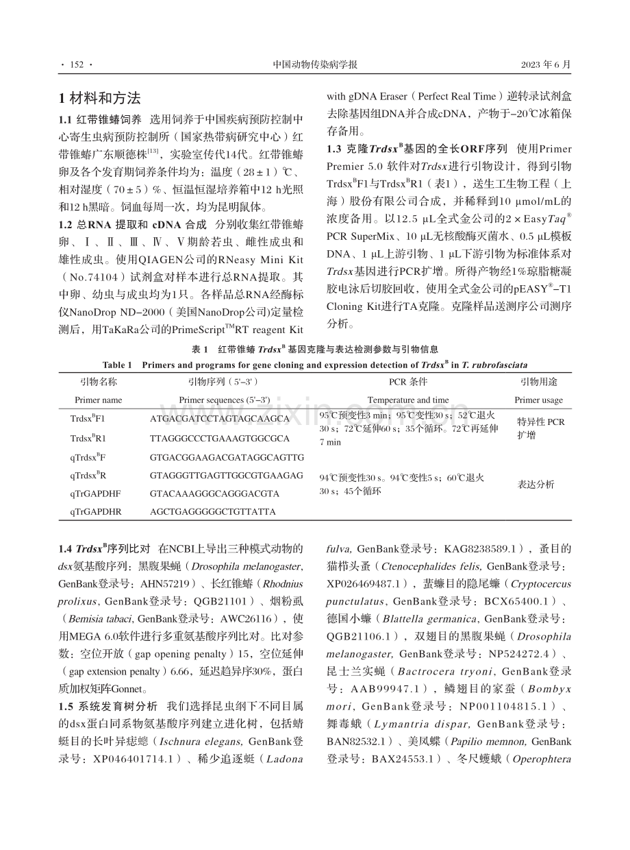 红带锥蝽性别决定基因doublesex的克隆及表达分析.pdf_第3页