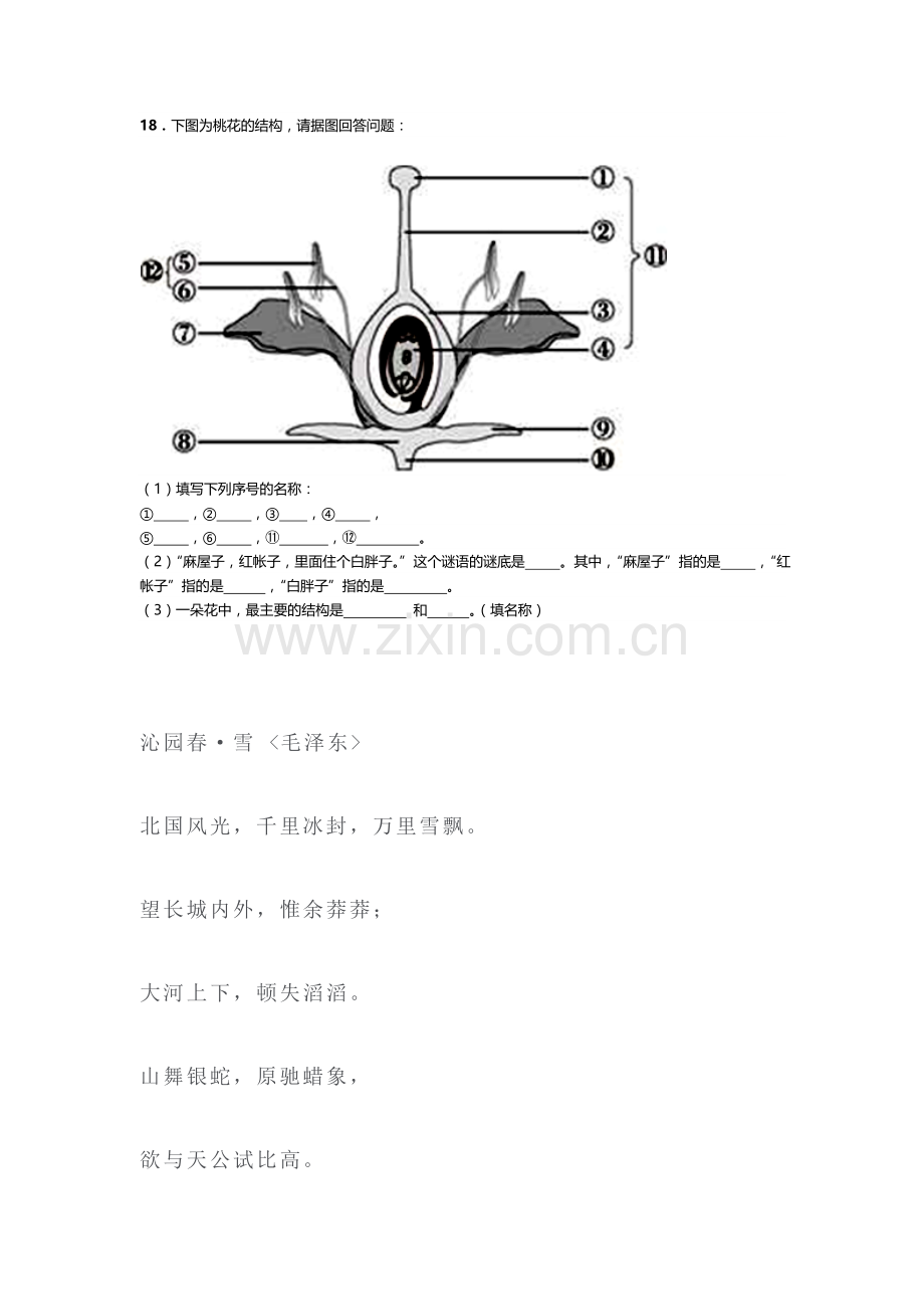 花的结构和类型检测题.doc_第3页