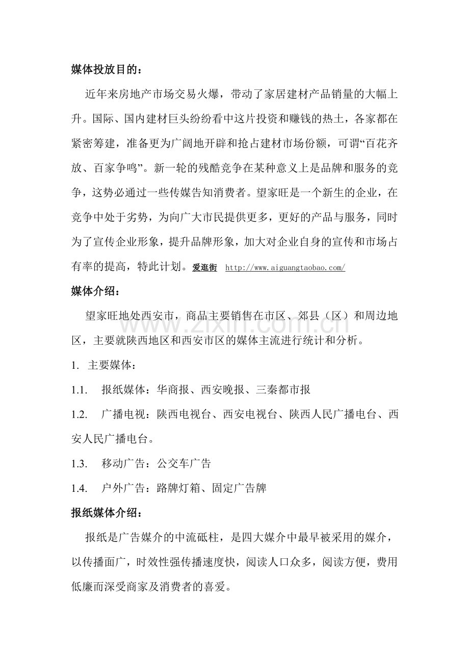 2013年媒体广告投放计划书.doc_第2页