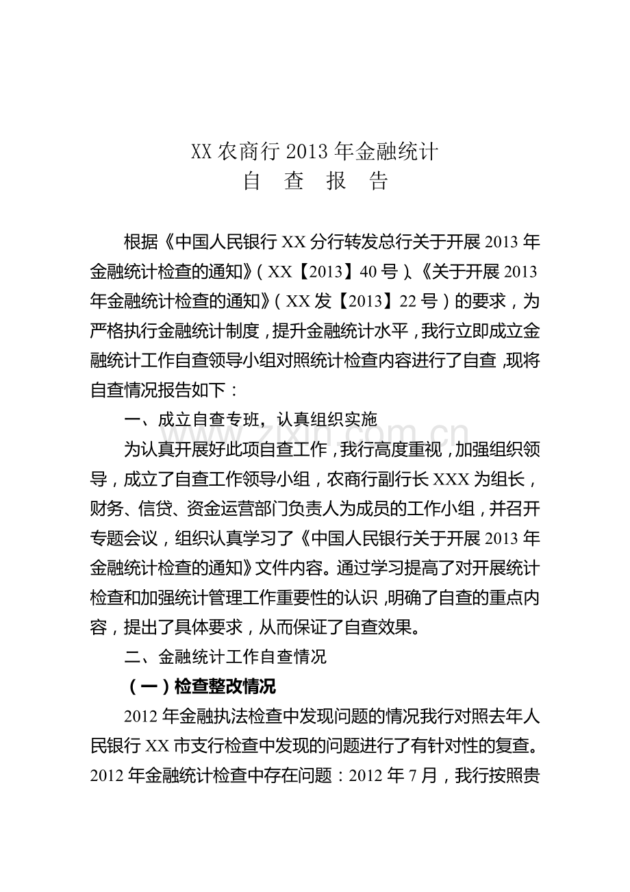 2013年金融统计自查报告.doc_第1页