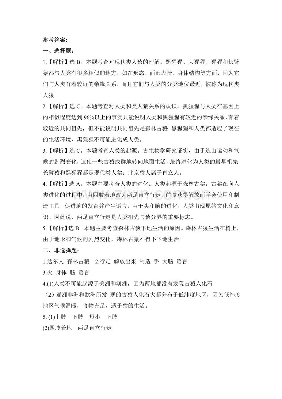 人类的起源同步练习.doc_第3页