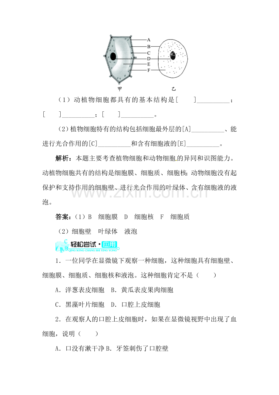 动物细胞练习.doc_第3页